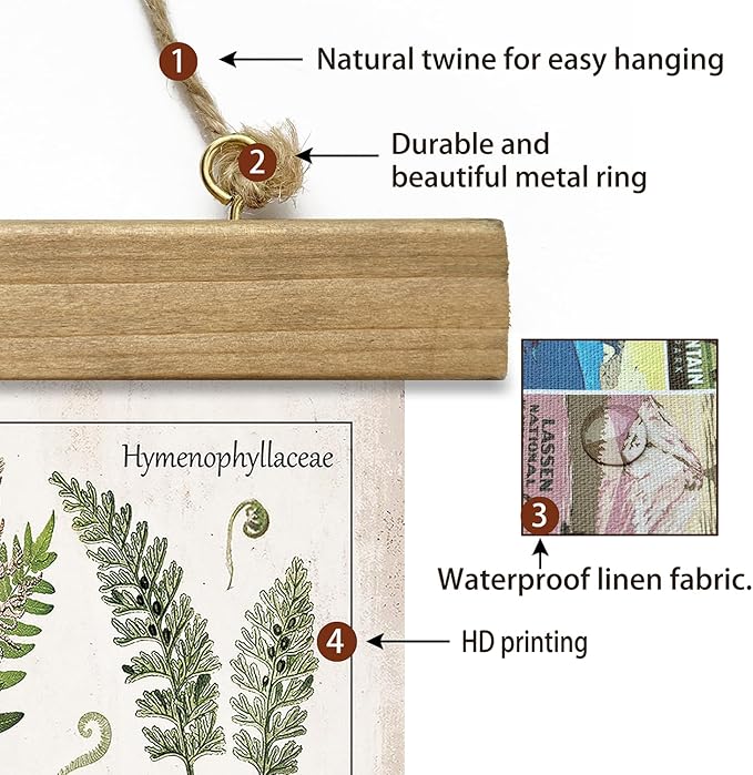 XIAOAIKA Botanical Fern Varieties Poster - Vintage Illustrated Guide with Wooden Frame - Educational Plant Wall Art for Home, Office, or Classroom Decor 16 x 23 Inches