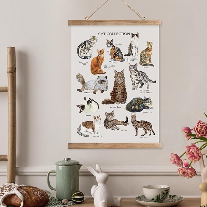 XIAOAIKA Cat Breeds Educational Poster - Illustrated Guide to Popular Feline Varieties with Wooden Scroll Frame - Decorative Wall Art for Cat Lovers and Pet Owners 12 x 16 Inches