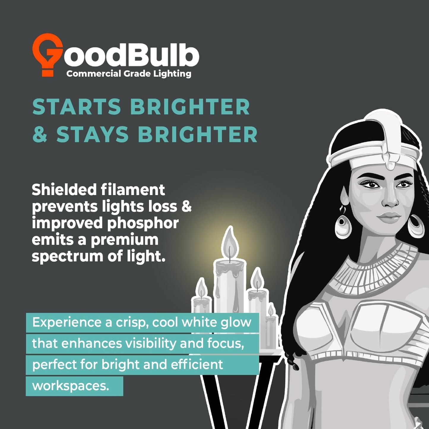 GoodBulb PLL36/841 36W 16.5" Twin Tube Compact Fluorescent Light Bulb 4-pin 2G11 Base 4100K Cool White 2400 Lumen 36000 Hour Long Life Biax Pack of 10