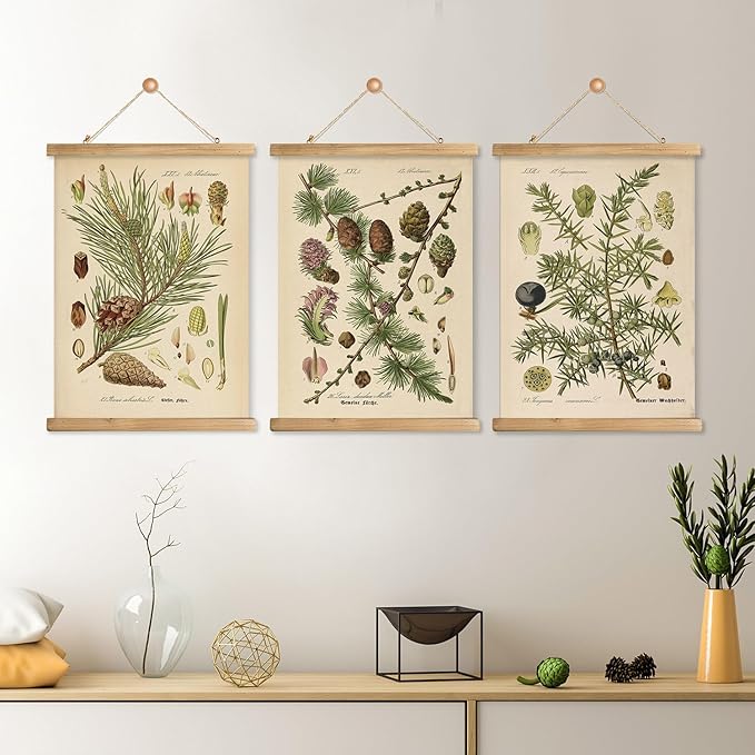 XIAOAIKA Conifer Botanical Wall Art Set - 3-Piece Vintage Pine and Evergreen Poster Prints with Wooden Hanging Frames, Ideal for Rustic Home and Cabin Decor, 12x16 inches