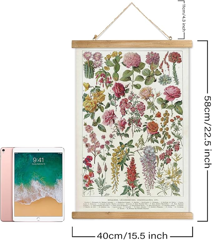 XIAOAIKA 2 Pack Vintage Posters: Botanical Garden Flowers & Insect Species - Illustrated Educational Charts with Wooden Frames for Nature Lovers, Home Decor Aesthetic, and Classrooms 16 x 23 Inches