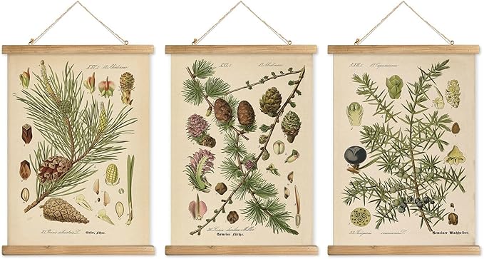 XIAOAIKA Conifer Botanical Wall Art Set - 3-Piece Vintage Pine and Evergreen Poster Prints with Wooden Hanging Frames, Ideal for Rustic Home and Cabin Decor, 12x16 inches