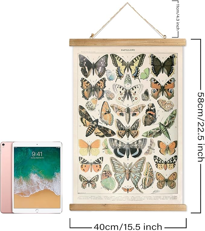 XIAOAIKA 2 Pack Vintage Butterfly Poster - Cottagecore Room Decor Aesthetic - Classic Lepidoptera Wall Art with Wooden Frame - Educational Decor for Nature Enthusiasts and Collectors 16 x 23 inches