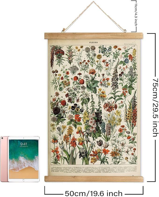 XIAOAIKA Vintage Wildflower Hanging Poster with Wooden Frame, Retro Style Wall Decor Detailed Floral Illustration- Educational Botany Wall Art for Gardeners Home Decor Classroom 20 x 30 Inches