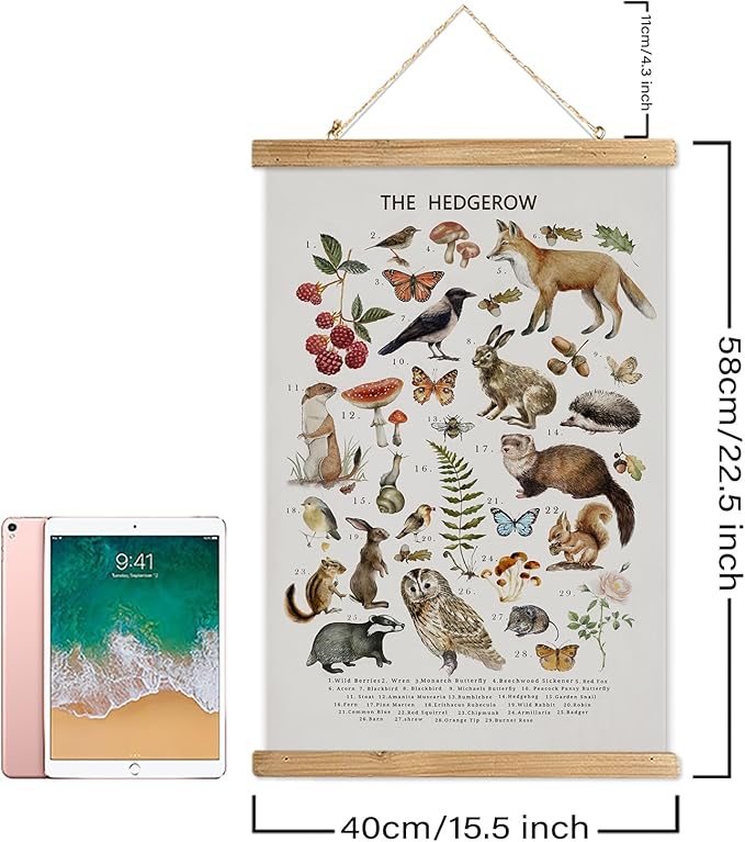 XIAOAIKA British Hedgerow Wildlife Educational Poster - Illustrated Nature Chart with Wooden Frame - Countryside Animals and Plants Wall Art for Home, School, or Nature Reserve Decor 16 x 23 Inches