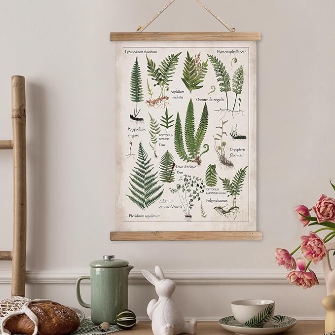 XIAOAIKA Botanical Fern Varieties Poster - Vintage Illustrated Guide with Wooden Frame - Educational Plant Wall Art for Home, Office, or Classroom Decor 16 x 23 Inches