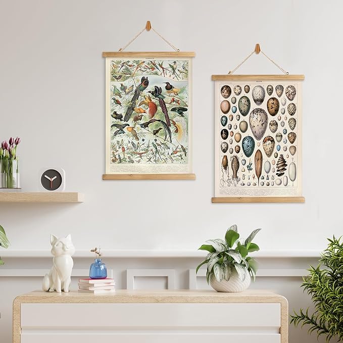 XIAOAIKA 2 Pack Vintage Nature Posters: Bird Species & Eggs - Illustrated Educational Charts with Wooden Frames for Ornithologists, Bird Watchers & Nature Lovers - 16 x 23 Inches