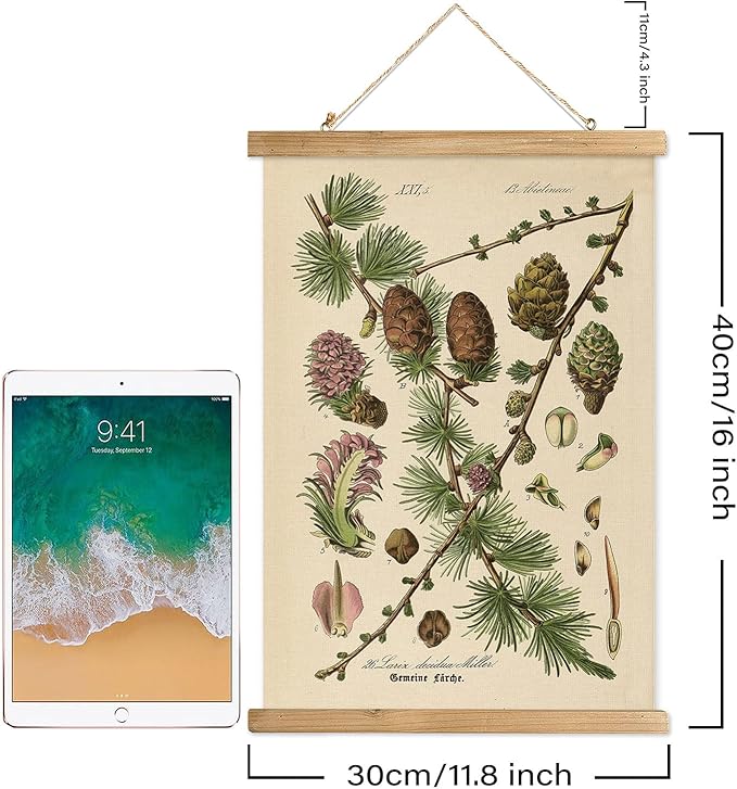XIAOAIKA Conifer Botanical Wall Art Set - 3-Piece Vintage Pine and Evergreen Poster Prints with Wooden Hanging Frames, Ideal for Rustic Home and Cabin Decor, 12x16 inches