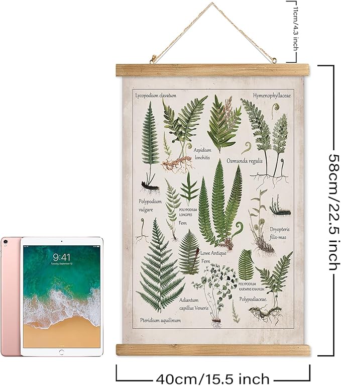 XIAOAIKA Botanical Fern Varieties Poster - Vintage Illustrated Guide with Wooden Frame - Educational Plant Wall Art for Home, Office, or Classroom Decor 16 x 23 Inches