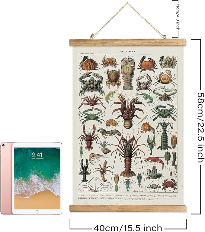 XIAOAIKA Set of 2 Vintage Marine Life and Crustaceans Wall Art Posters - Nautical Ocean Creatures & Seafood Illustration Prints with Wooden Hanger Frames for Home Decor 16 x 23 Inches