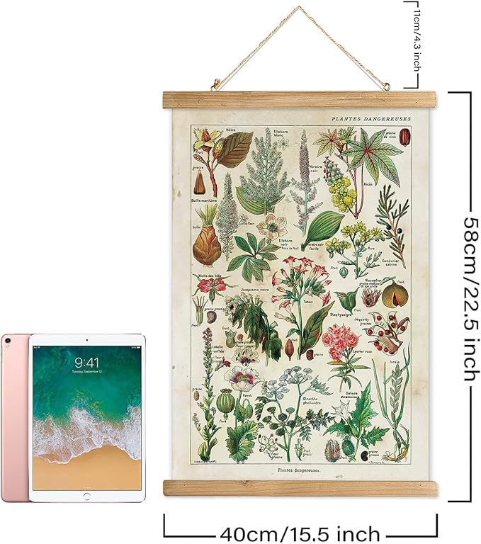 XIAOAIKA 2 Pack Vintage Plant Posters: Medicinal and Poisonous Plants - Retro Style Wall Art with Wooden Frames for Home Classroom, or Apothecary Decor 16 x 23 inches