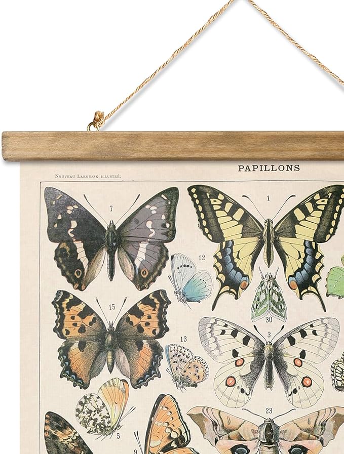XIAOAIKA 2 Pack Vintage Butterfly Poster - Cottagecore Room Decor Aesthetic - Classic Lepidoptera Wall Art with Wooden Frame - Educational Decor for Nature Enthusiasts and Collectors 16 x 23 inches