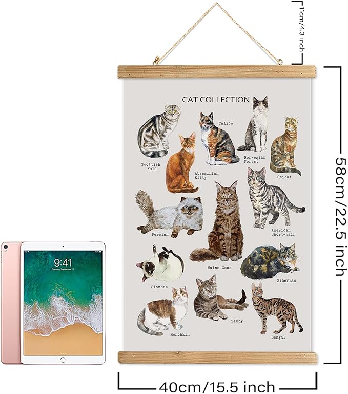 XIAOAIKA Cat Breeds Educational Poster - Illustrated Guide to Popular Feline Varieties with Wooden Scroll Frame - Decorative Wall Art for Cat Lovers and Pet Owners 16 x 23 Inches