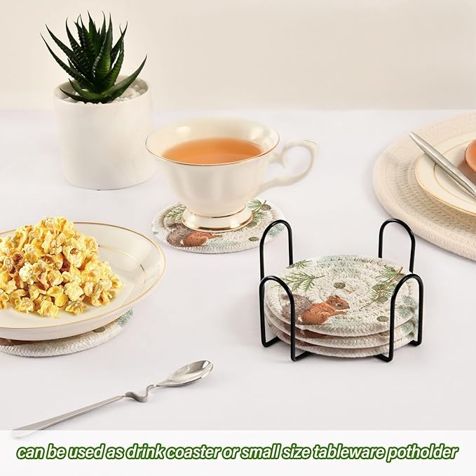Squirrel Coasters for Drinks Set of 6 Absorbent Drink Coasters Woven for Home Decor Coffee Bar Desk Accessories