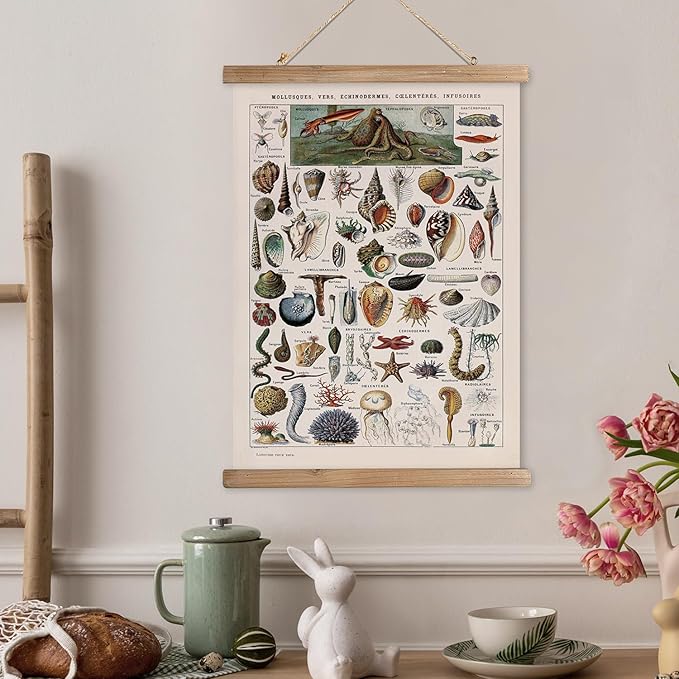 XIAOAIKA Vintage Zoology Poster - Illustrated Invertebrates and Marine Life Chart with Wooden Frame - Educational Biology Wall Art for Science Classrooms and Nature Enthusiasts 16 x 23 inches