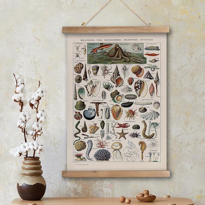 XIAOAIKA Vintage Zoology Poster - Illustrated Invertebrates and Marine Life Chart with Wooden Frame - Educational Biology Wall Art for Science Classrooms and Nature Enthusiasts 12 x 16 inches