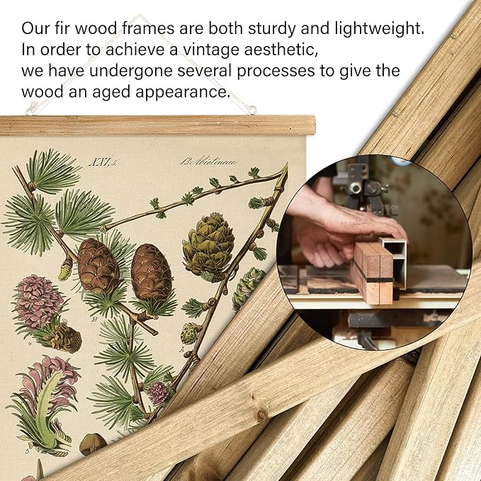 XIAOAIKA Conifer Botanical Wall Art Set - 3-Piece Vintage Pine and Evergreen Poster Prints with Wooden Hanging Frames, Ideal for Rustic Home and Cabin Decor, 12x16 inches
