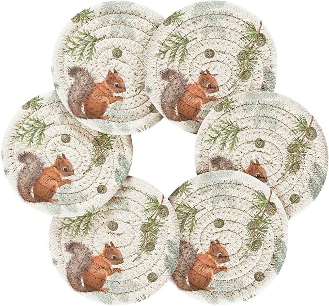 Squirrel Coasters for Drinks Set of 6 Absorbent Drink Coasters Woven for Home Decor Coffee Bar Desk Accessories