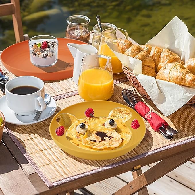 Wheat Straw Plates 10 Inch Deep Dinner Plate Set of 8, Lightweight and Unbreakable Plastic Plates Reusable, Microwave & Dishwasher Safe Kitchen Plate (Multi Colors)