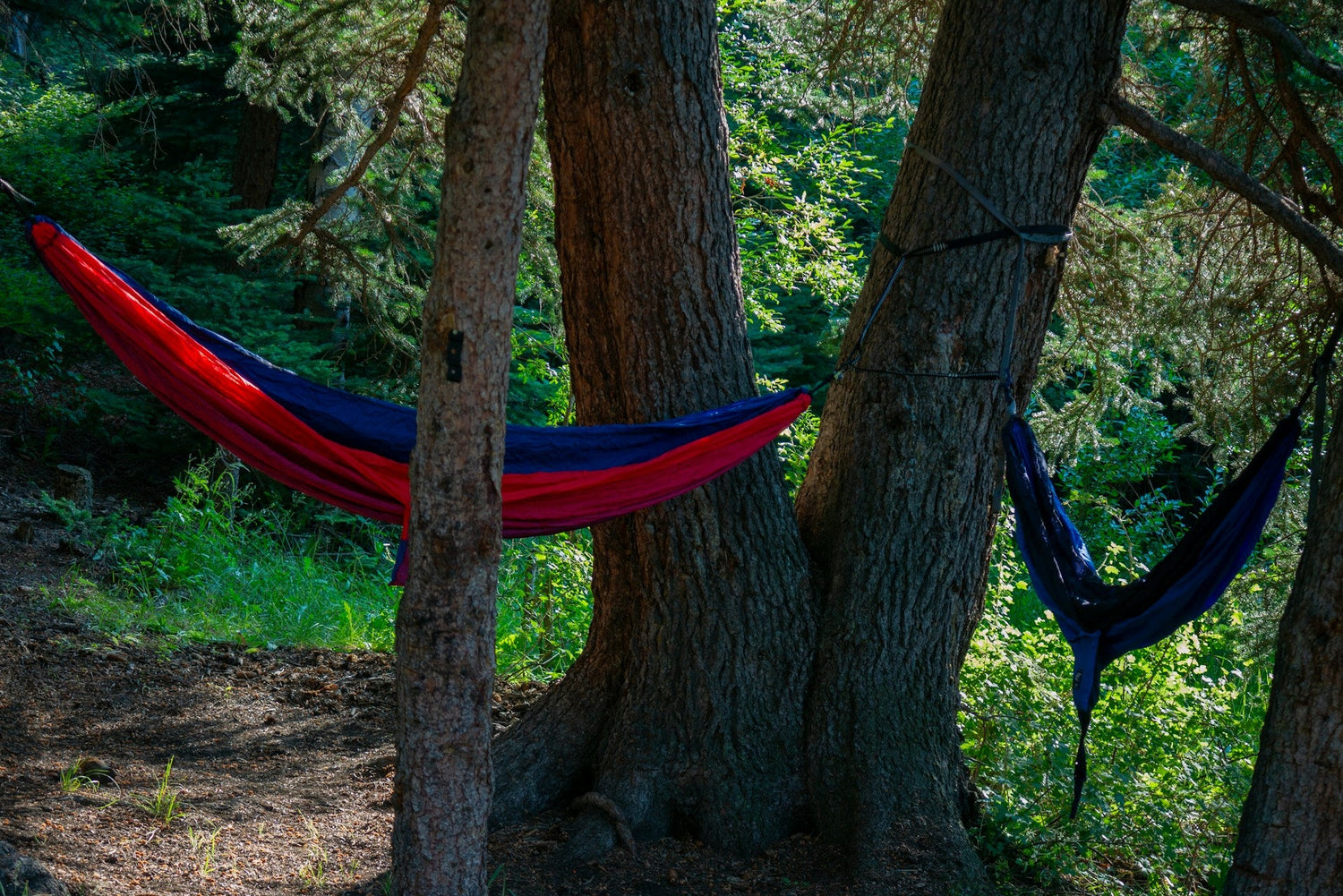 Camp Furniture (Chairs, Tables, Hammocks)