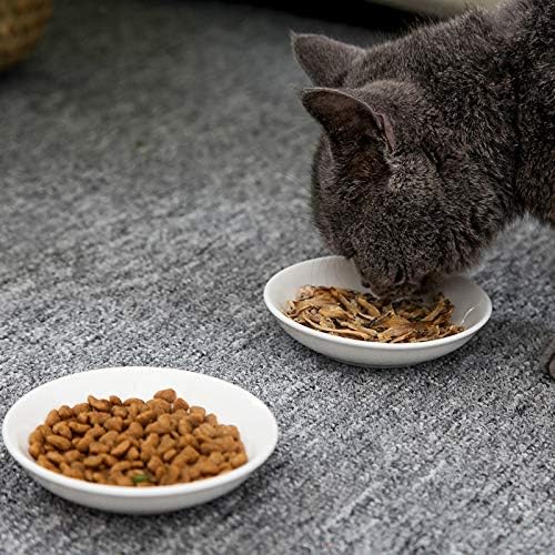 BigNoseDeer Super Cute Cat Ceramic Sauce Dish,Mini Side Seasoning Dish,Condiment Dishes,Sushi Soy Dipping Bowl,Snack Serving Dishes,Meow Porcelain Small Saucer Set(Set of 6)