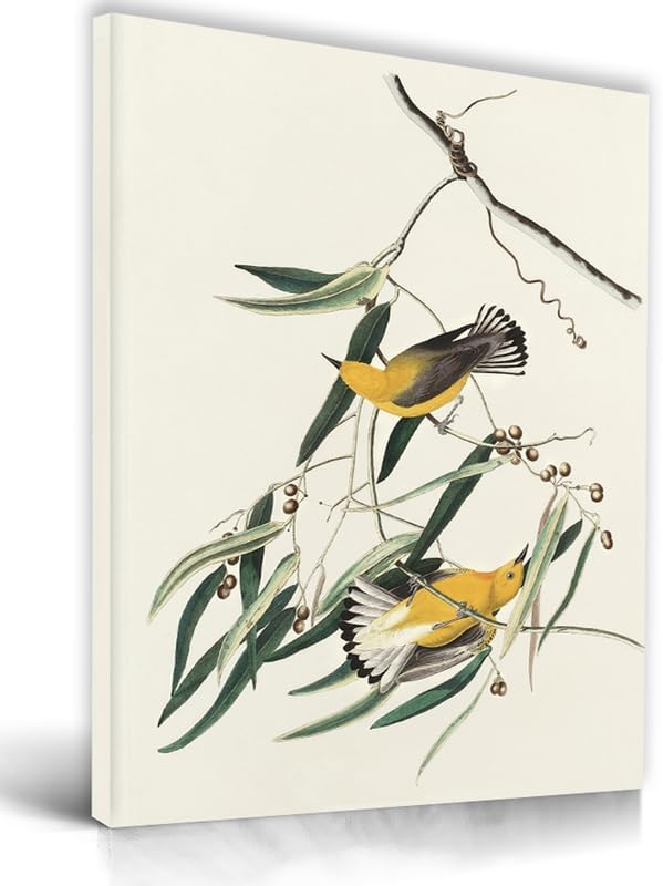 UPWOIGH Bathroom Wall Art Decor, Yellow Bird Wall Art-Hummingbird Pictures for Wall, Waterproof Wood Framed Canvas Wall Art Animals Abstract Prints, 12" x 16" High-end Pictures for Dormitory Kids Room