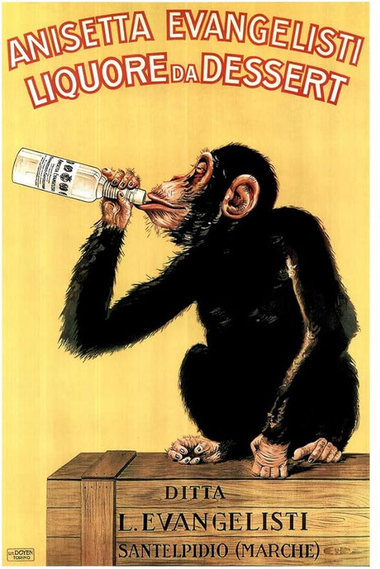 Anisetta Evangelisti Liquore Da Dessert by Carlo Biscaretti 1925 Vintage Alcohol Liquor Bottle Italian Advertising Drinking Monkey Chimpanzee Cool Wall Art Print Poster 12x18