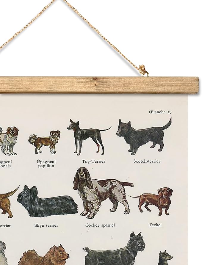 XIAOAIKA Classic Dog Breeds Illustrated Poster - Vintage Canine Varieties Wall Art with Wooden Hanger - Educational and Decorative Print for Pet Lovers and Breeders 16 x 23 Inches