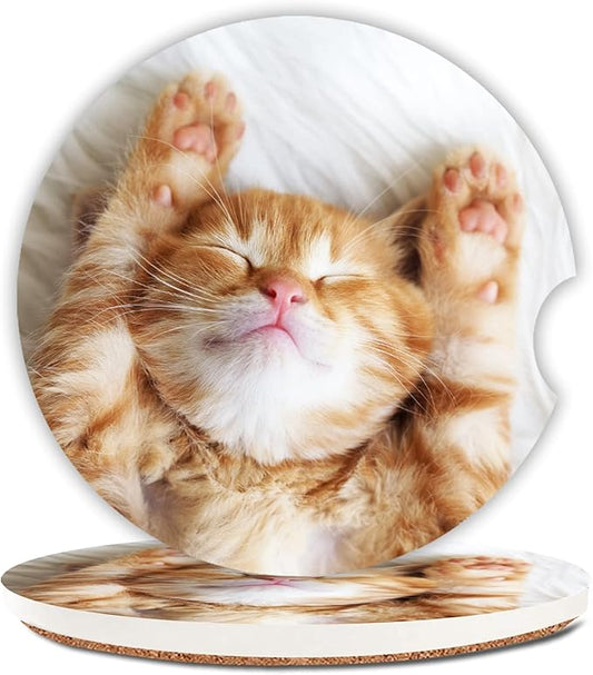 Sleeping Cat Absorbent Car Coasters,Cute Animal Ceramic Cup Holders Coasters with a Finger Notch for Women Men 2.56"(2 Pieces)