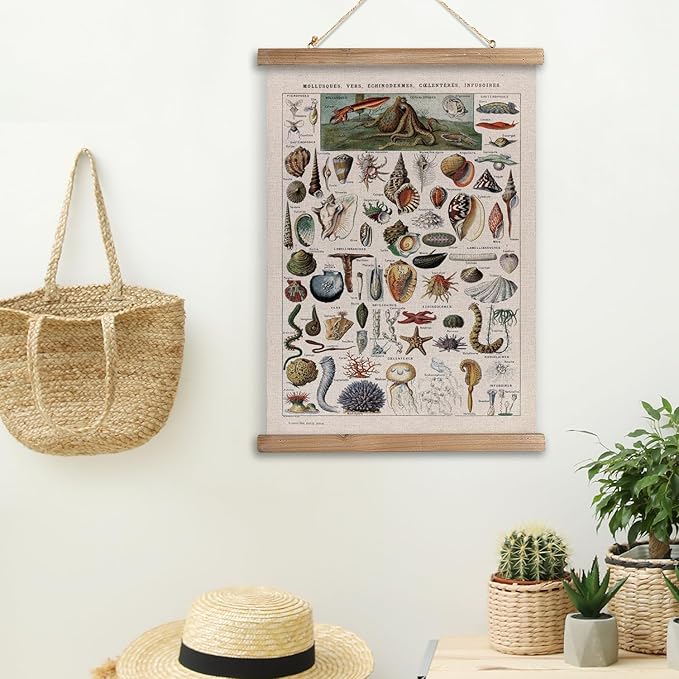 XIAOAIKA Vintage Zoology Poster - Illustrated Invertebrates and Marine Life Chart with Wooden Frame - Educational Biology Wall Art for Science Classrooms and Nature Enthusiasts 20 x 30 inches