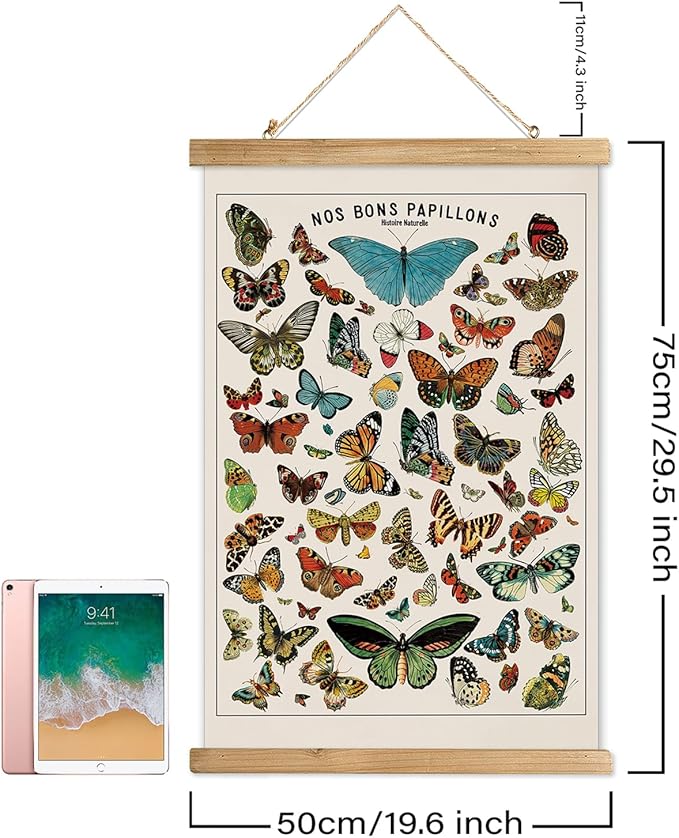 XIAOAIKA Vintage Butterfly Species Poster - Illustrated Educational Chart with Wooden Frame - Entomology Wall Art for Nature Lovers, Classrooms, and Home Decor 20 x 30 Inches