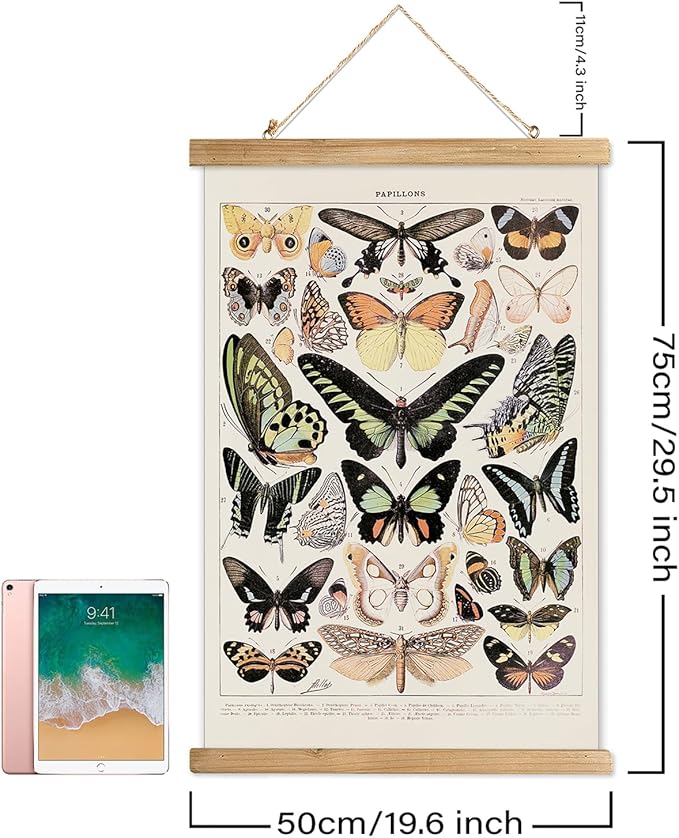 XIAOAIKA Vintage Butterfly Hanging Poster with Wooden Frame, Retro Style Wall Decor Art Painting, Patterns Printed on Linen Without Fading, Ready to Hang (20 x 30)