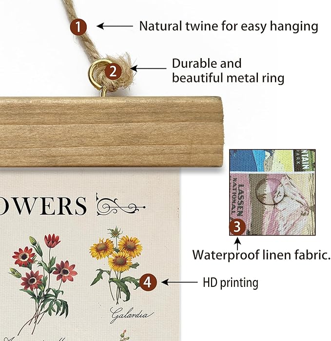 XIAOAIKA Vintage Butterfly and World Flowers Poster Set - Educational Insect and Botanical Wall Art with Wooden Hanging Frames, Decorative Prints for Home and Classroom 16 x 23 Inches