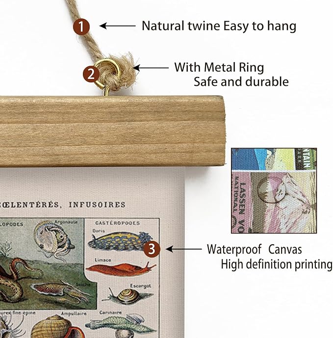 XIAOAIKA Vintage Zoology Poster - Illustrated Invertebrates and Marine Life Chart with Wooden Frame - Educational Biology Wall Art for Science Classrooms and Nature Enthusiasts 12 x 16 inches
