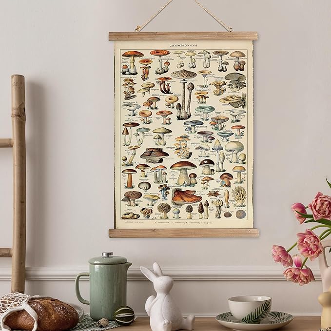 XIAOAIKA Vintage Mushroom Poster with Wooden Frame - Classic Botanical Print with Variety of Fungi Species - Retro Style Wall Art Decor for Kitchen, Living Room, Classroom 20 x 30 Inches