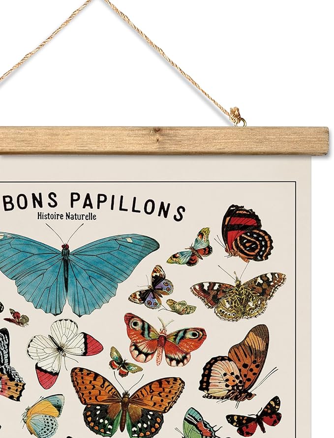XIAOAIKA Vintage Butterfly Poster with Wooden Frame, Cottagecore Room Decor Aesthetic, Retro Style Wall Decor Art Painting for Nature Lovers, Classrooms, and Home Decor 16 x 23 Inches