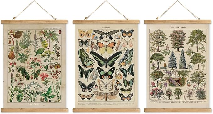 XIAOAIKA 3-Pack Vintage Educational Posters with Wooden Frames - Botanical, Butterfly, and Arboreal Illustrations, Nature-Themed Wall Art for Home and Classroom, 12x16 Inches
