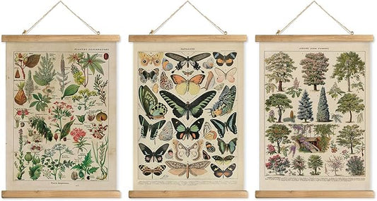 XIAOAIKA 3-Pack Vintage Educational Posters with Wooden Frames - Botanical, Butterfly, and Arboreal Illustrations, Nature-Themed Wall Art for Home and Classroom, 12x16 Inches
