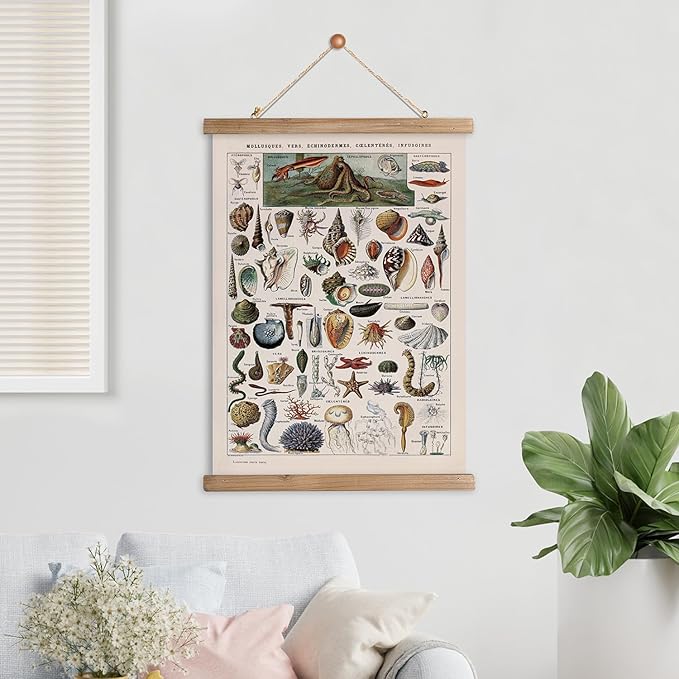 XIAOAIKA Vintage Zoology Poster - Illustrated Invertebrates and Marine Life Chart with Wooden Frame - Educational Biology Wall Art for Science Classrooms and Nature Enthusiasts 16 x 23 inches