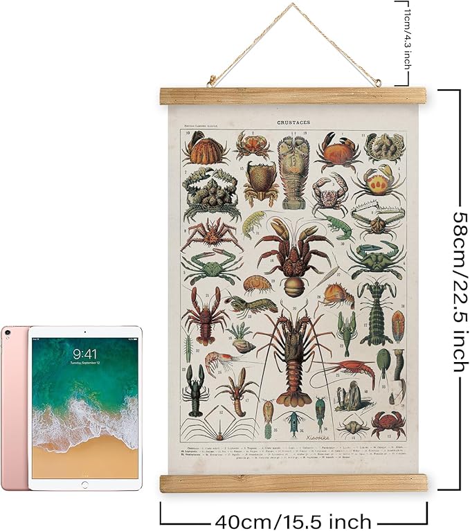 XIAOAIKA Antique Crustacean Species Poster - Vintage Detailed Seafood Illustration Chart with Wooden Frame - Educational Wall Art for Seafood Enthusiasts, Chefs, and Classrooms 16 x 23 Inches