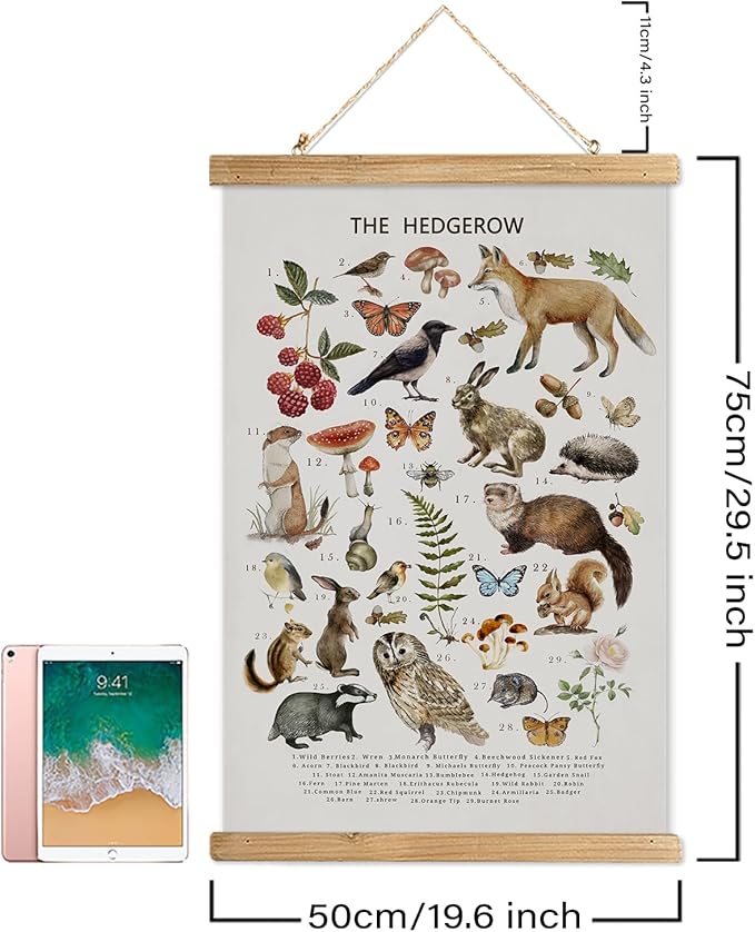 XIAOAIKA British Hedgerow Wildlife Educational Poster - Illustrated Nature Chart with Wooden Frame - Countryside Animals and Plants Wall Art for Home, School, or Nature Reserve Decor 20 x 30 Inches