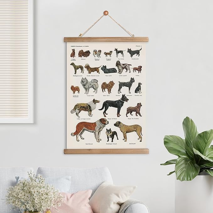 XIAOAIKA Classic Dog Breeds Illustrated Poster - Vintage Canine Varieties Wall Art with Wooden Hanger - Educational and Decorative Print for Pet Lovers and Breeders 16 x 23 Inches