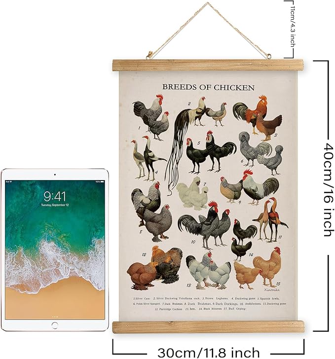 XIAOAIKA Vintage-Inspired Chicken Breeds Art Print - Educational Wall Hanging Poster with Wooden Frame - Rustic Farmhouse Decor, Perfect for Kitchen or Classroom 12 x 16 Inches