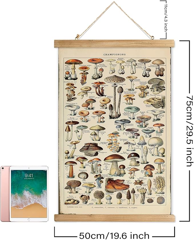 XIAOAIKA Vintage Mushroom Poster with Wooden Frame - Classic Botanical Print with Variety of Fungi Species - Retro Style Wall Art Decor for Kitchen, Living Room, Classroom 20 x 30 Inches