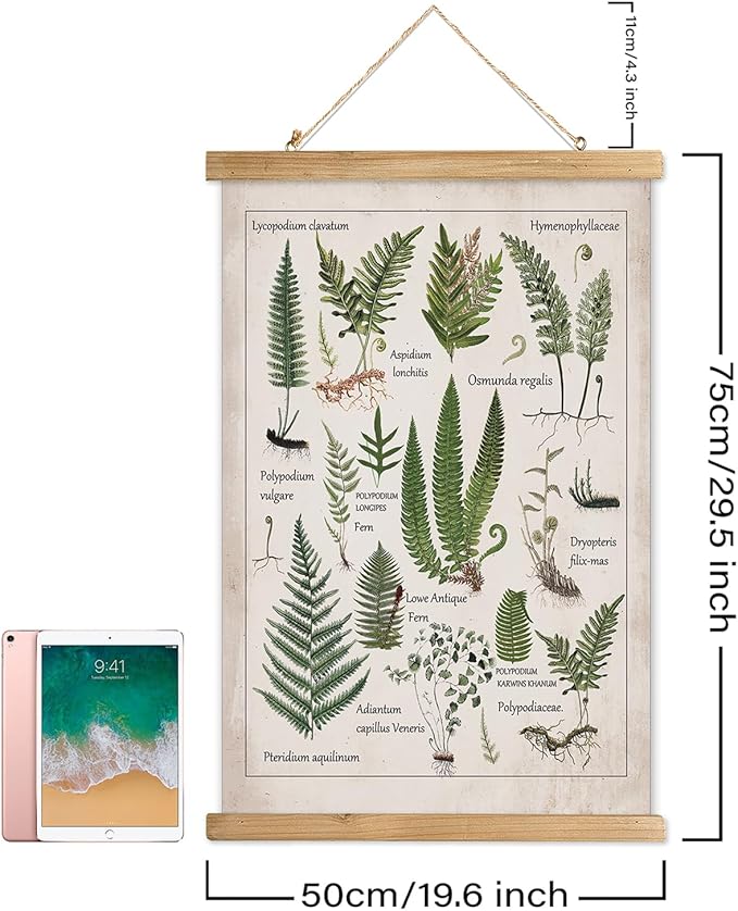 XIAOAIKA Botanical Fern Varieties Poster - Vintage Illustrated Guide with Wooden Frame - Educational Plant Wall Art for Home, Office, or Classroom Decor 20 x 30 Inches