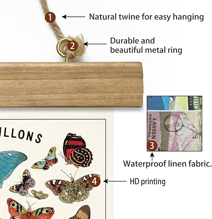XIAOAIKA Vintage Butterfly Species Poster - Illustrated Educational Chart with Wooden Frame - Entomology Wall Art for Nature Lovers, Classrooms, and Home Decor 12 x 16 Inches