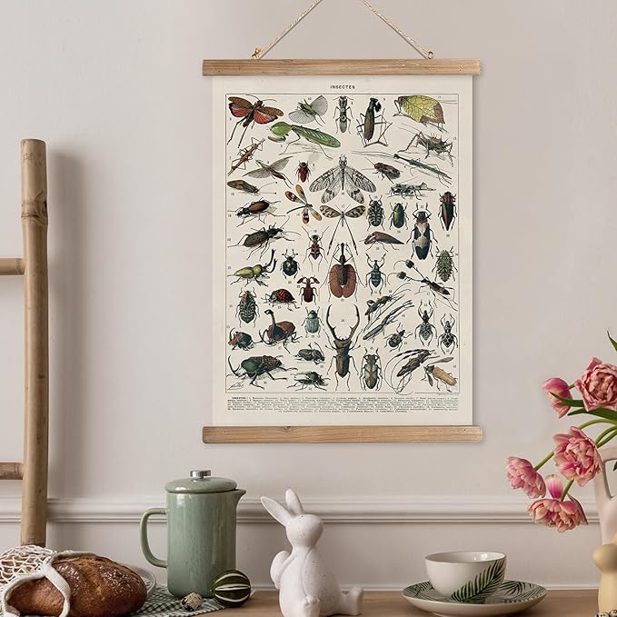 XIAOAIKA Vintage Entomology Poster - Illustrated Insect Species Chart with Wooden Frame - Educational Bug Identification Wall Art for Science Classrooms Home Office 16 x 23 Inches