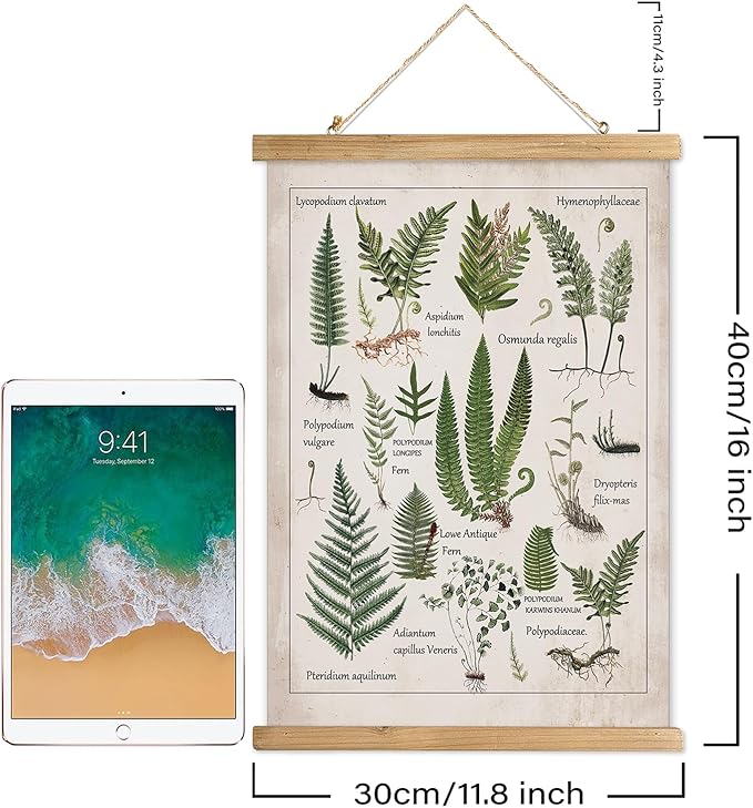 XIAOAIKA Botanical Fern Varieties Poster - Vintage Illustrated Guide with Wooden Frame - Educational Plant Wall Art for Home, Office, or Classroom Decor 12 x 16 Inches