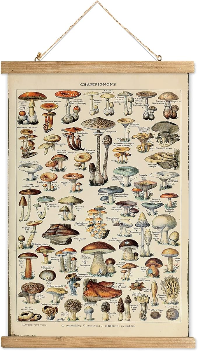 XIAOAIKA Vintage Mushroom Poster with Wooden Frame - Classic Botanical Print with Variety of Fungi Species - Retro Style Wall Art Decor for Kitchen, Living Room, Classroom 12 x 16 Inches
