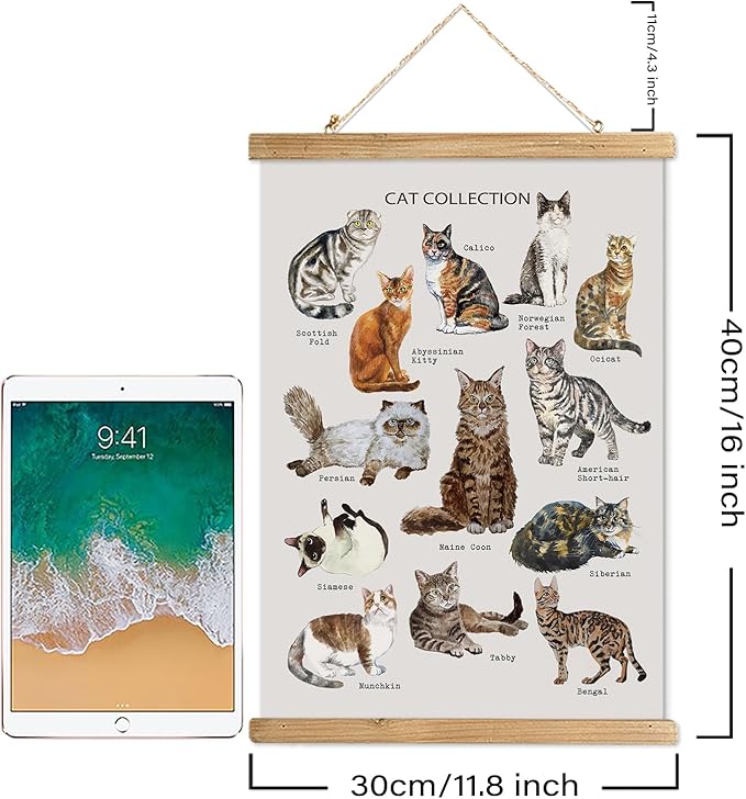 XIAOAIKA Cat Breeds Educational Poster - Illustrated Guide to Popular Feline Varieties with Wooden Scroll Frame - Decorative Wall Art for Cat Lovers and Pet Owners 12 x 16 Inches